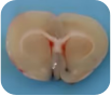 cdd6612cc57c5ef638e7e3732bd03868.png